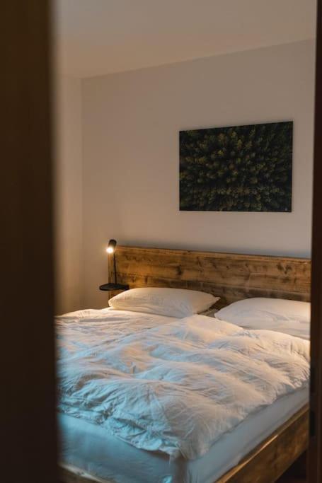 Feldberg Apartment - Direkt An Der Skipiste - Mit Sauna Ngoại thất bức ảnh