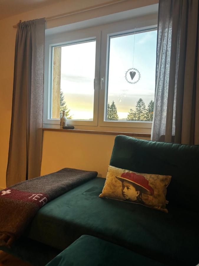 Feldberg Apartment - Direkt An Der Skipiste - Mit Sauna Ngoại thất bức ảnh