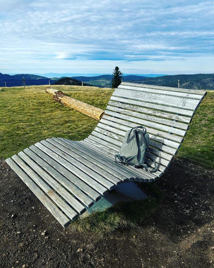Feldberg Apartment - Direkt An Der Skipiste - Mit Sauna Ngoại thất bức ảnh