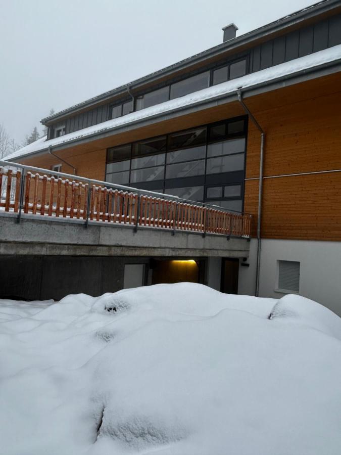 Feldberg Apartment - Direkt An Der Skipiste - Mit Sauna Ngoại thất bức ảnh