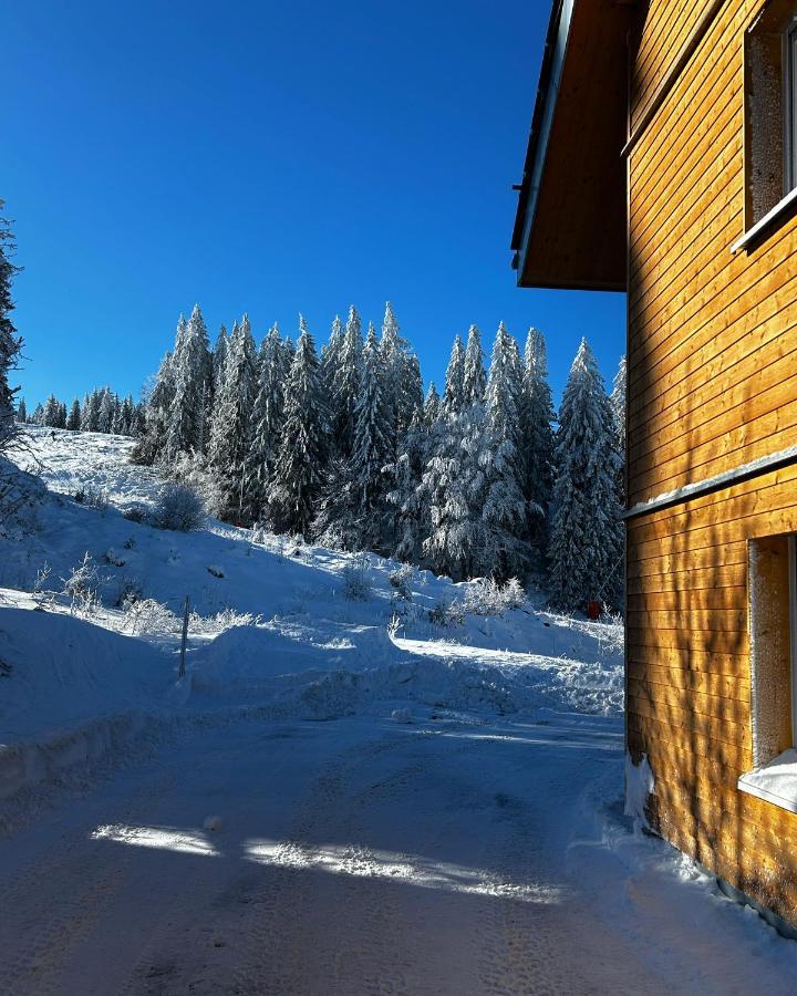 Feldberg Apartment - Direkt An Der Skipiste - Mit Sauna Ngoại thất bức ảnh