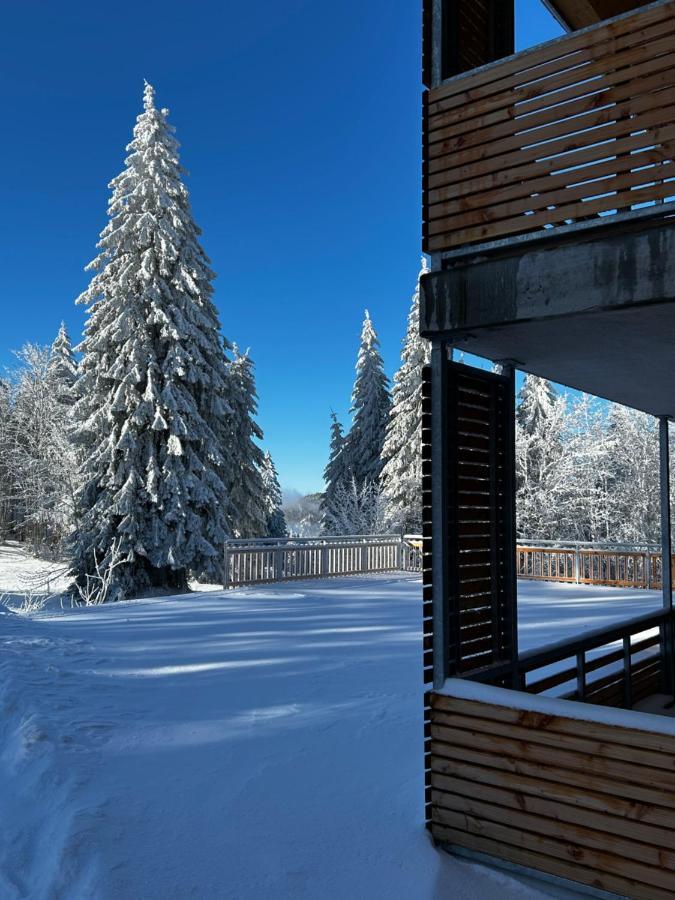 Feldberg Apartment - Direkt An Der Skipiste - Mit Sauna Ngoại thất bức ảnh