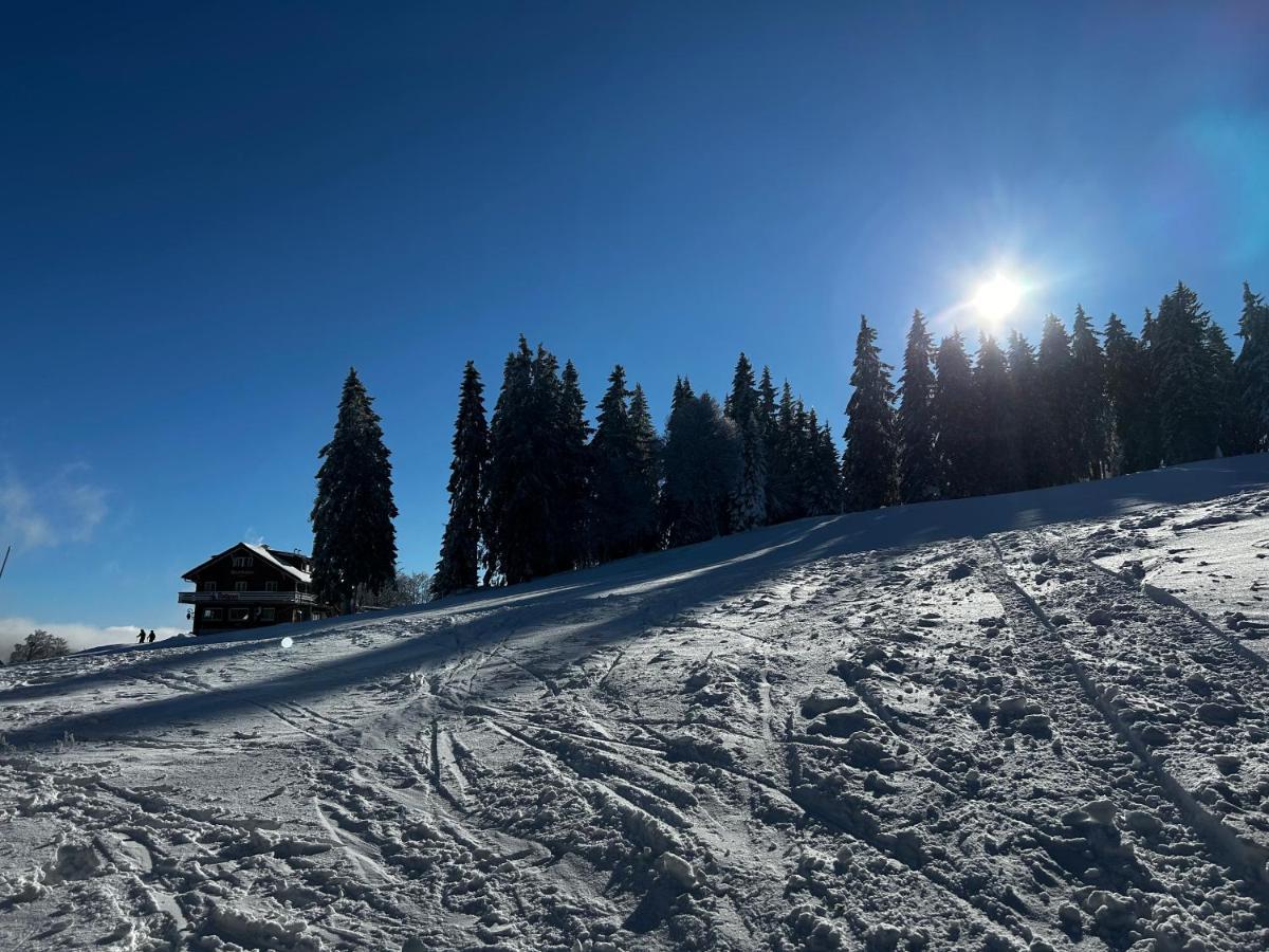 Feldberg Apartment - Direkt An Der Skipiste - Mit Sauna Ngoại thất bức ảnh