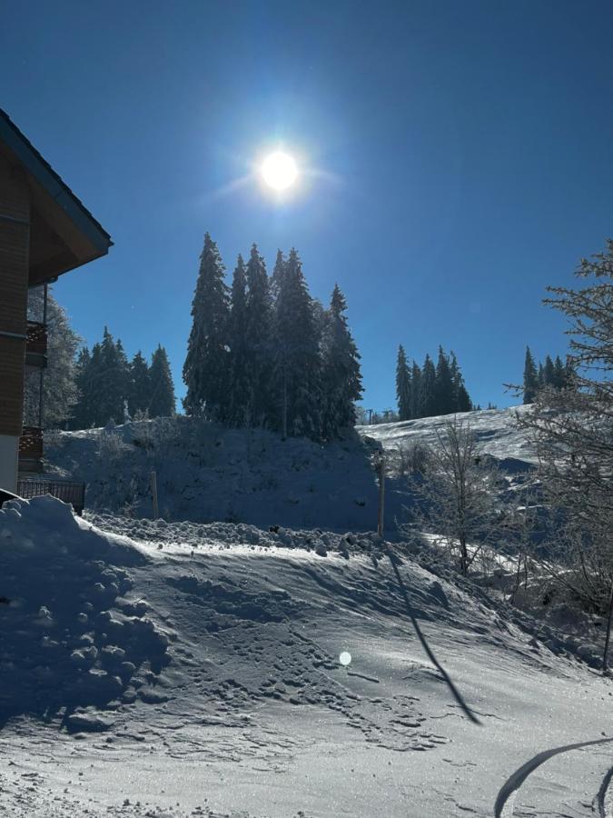 Feldberg Apartment - Direkt An Der Skipiste - Mit Sauna Ngoại thất bức ảnh