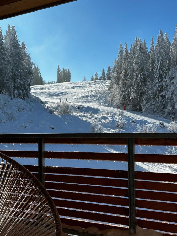 Feldberg Apartment - Direkt An Der Skipiste - Mit Sauna Ngoại thất bức ảnh